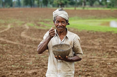 Letter to ministries flags lack of rules for pesticide-coated seeds in India, urges safety checks and labelling