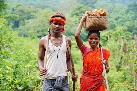A Kutia Kondh couple from Kandhamal district, whose habitat rights claim traces back to the community-led clan territory mapping described above.