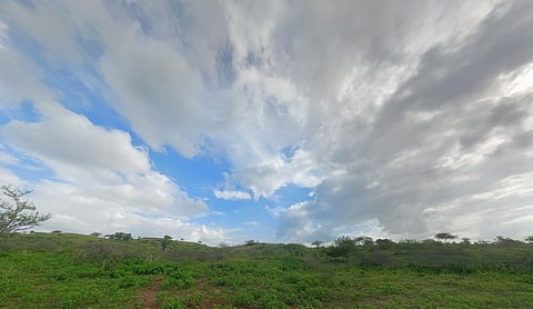 Daily weather tracker: Low-pressure intensifies; heavy rain alert in over 15 states, heatwave grips south while hot & humid conditions persist across North India