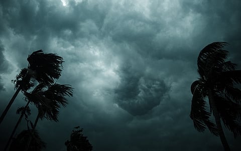 Daily weather tracker: Monsoon regains momentum as IMD issues heavy rain alerts across North, East and Northeast India