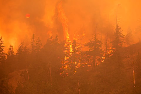 Donald Trump blames Canada for wildfire smoke — but global warming is loading the wildfire dice
