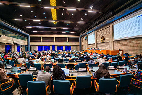 Amid concurrence and disagreement over various issues, SBSTTA28 ends in Nairobi ahead of CBD COP17 in Yerevan
