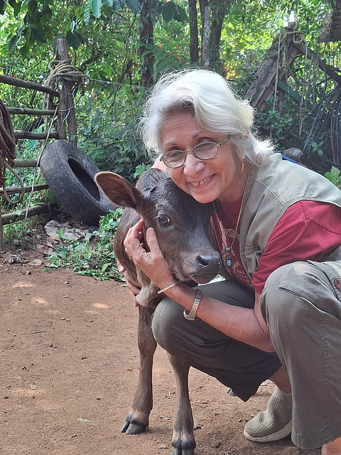 Sujata with a calf at her plantation in Coorg, Karnataka, where she tries to ensure the interdependence of species.