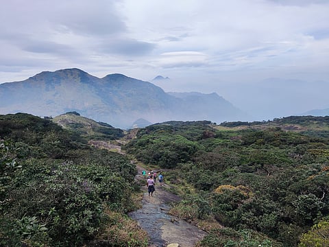Agasthyamalai Biosphere Reserve
