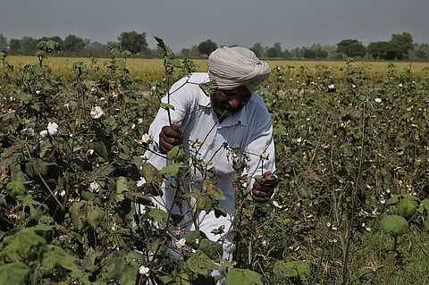 India to upgrade 300 Krishi Vigyan Kendras even as old gaps in staffing and funds remain