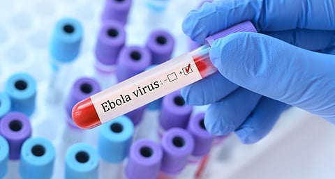 DRC’s Ebola outbreak has the potential to become a global pandemic. How to make sure it doesn’t
