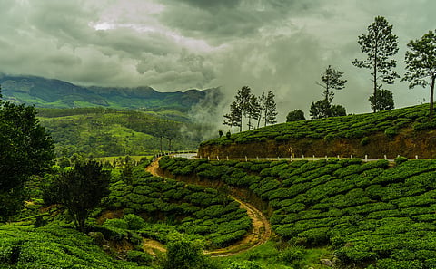 Daily weather tracker: Low-pressure system to intensify rainfall across Eastern and Central India; Odisha under red alert