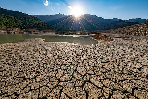 Drought becoming global, economy-wide risk; governments need to rethink ‘crisis response’ approach