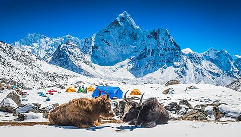 Himalayas nearing ‘tipping point’ as glacier melting accelerates, report warns