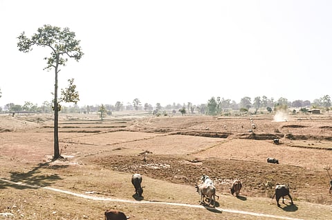 Drought watch: Monsoon withdrawal & growing drought crisis across states