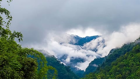 Daily weather tracker: Weather set to shift across North India as rain brings relief