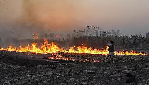 Stubble burning season begins; Madhya Pradesh ranks first, Punjab second and Uttar Pradesh third