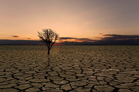 Drought despite decades of water conservation: What a 13% monsoon deficit is exposing