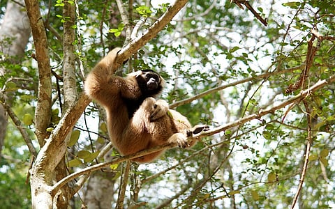30x30 target’s race to protect nature slowed by extractive industry