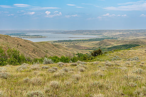Loss of diversity in grasslands could lead to 15% less CO2 uptake in 2050