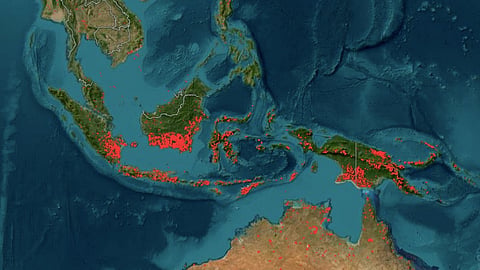 Satellite data from NASA’s Fire Information for Resource Management System (FIRMS) showing active fires across Indonesia.