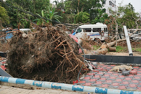 Destruction caused by cyclone Amphan in West Bengal in 2020.