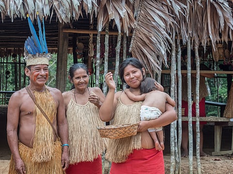 An unconditional basic income of nearly £2 a day improved food security and living standards while supporting forest conservation among Indigenous communities in the Peruvian Amazon.