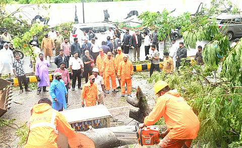 Fallen trees being cleared from roads in Visakhapatnam amid rainfall due to cyclone Arnab