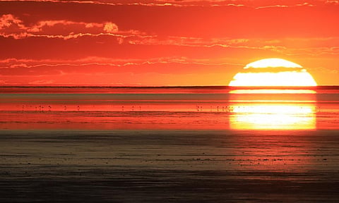 Photo: iStock