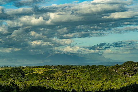 Mount Mulanje and lush forests, Southern Malawi. Photo for representation: iStock