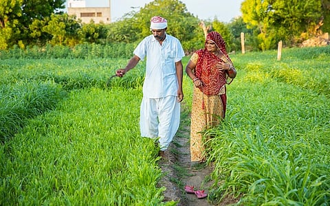 Budget 2024-25: Agri sector sees 4.5% growth in allocation; boost to pulses, oilseeds but other schemes overlooked