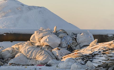 Two Arctic foxes at a garbage dump in the Russian Arctic. Photo: iStock