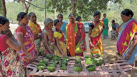 Women in Hurlu village, Rayagada district, Odisha, examine the seeds of indigenous rice and millet crops revived over the past decade (Photographs: K Nitin Chowdary)