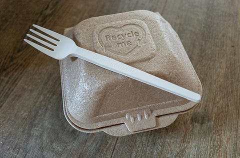 A recyclable take away food container, with a biodegradable fork. iStock photo for representation