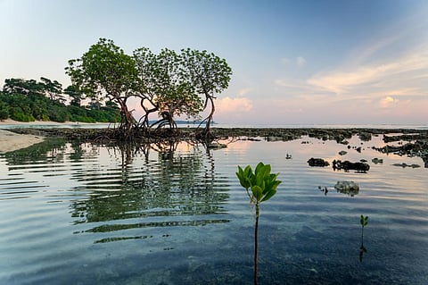 Photo: iStock