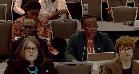 Co-Chair of the High Ambition Coalition and Minister of Environment of Rwanda Jeanne d'Arc Mujawamariya @MujaJeanne, during the opening of the 4th Plastic Treaty negotiation in Ottawa, Canada. Photo: @HACplastic / X (Formerly Twitter)