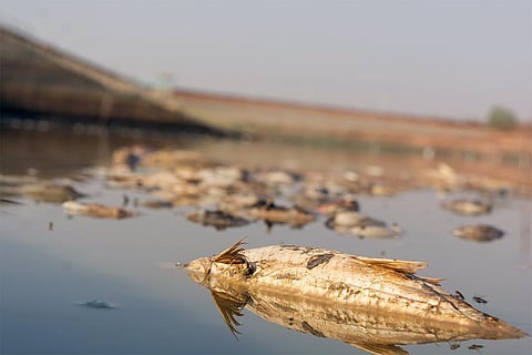 प्रतीकात्मक तस्वीर: आईस्टॉक