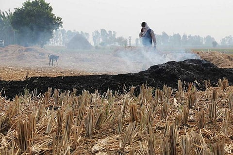 फाइल फोटो: सीएसई