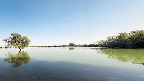 आवरण कथा: जल निकायों को नई जिंदगी