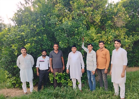 Kinnu Farmers