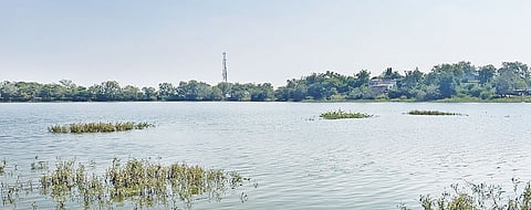 सगरोली गांव में के तालाब के पुनरुद्धार के बाद आसपास के किसानों की फसल की पैदावार 30 फीसदी तक बढ़ गई