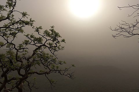 आज से लेकर 30 अप्रैल तक पूर्वी उत्तर प्रदेश के अलग-अलग इलाकों में धूल भरी आंधी चलने के आसार हैं।
