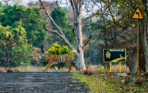 फोटो: आईस्टॉक