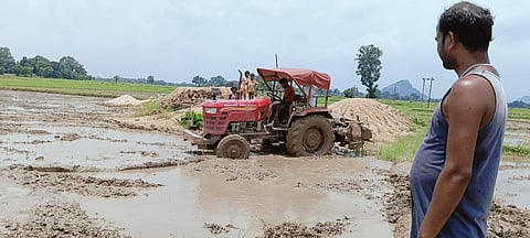 रांची जिले के राहे ब्लॉक के डोकाद पंचायत के चैनपुर गांव के पवन महतो की चिंता यह कि खेत तैयार हैं, बिचड़े खराब हो गएः फोटो नीरज सिन्हा