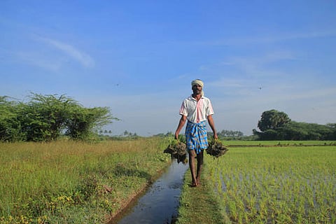 गर्मी और काम: लंबे समय तक धूप में काम और अत्यधिक गर्मी स्थायी क्रोनिक किडनी रोग (सीकेडी) के खतरे से जुड़े है।