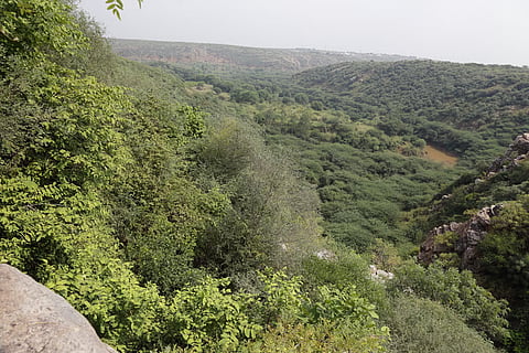 फाइल फोटो