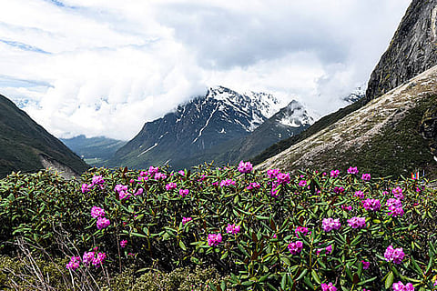 उत्तराखंड में शुष्क ठंड, हिमाचल के ऊंचे इलाकों में हल्की बर्फबारी, कई इलाकों में तापमान शून्य से नीचे लुढ़का।