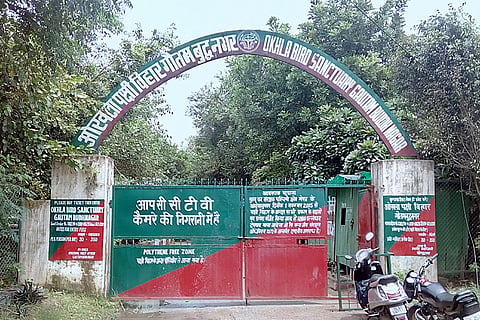 ओखला पक्षी विहार; फोटो: विकिमीडिया कॉमन्स