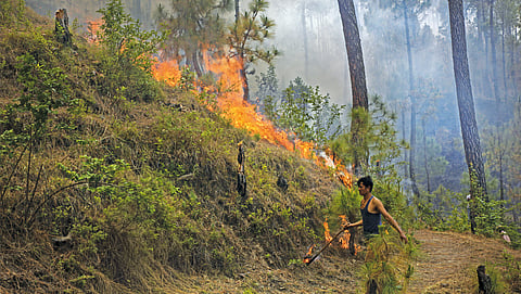 उत्तराखंड के हिमालयी क्षेत्रों में 2004 से 2024 के बीच जंगल की आग की घटनाओं में दस गुना वृद्धि दर्ज हुई है