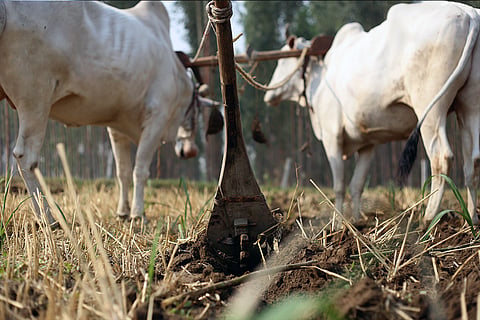 किसानों के सामने पहले से महंगे उर्वरक और ईंधन की समस्या है, ऐसे में मौसम की मार संकट को और गहरा कर सकती है। फोटो: आईस्टॉक