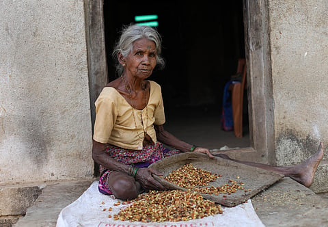 फोटो: विकास चौधरी