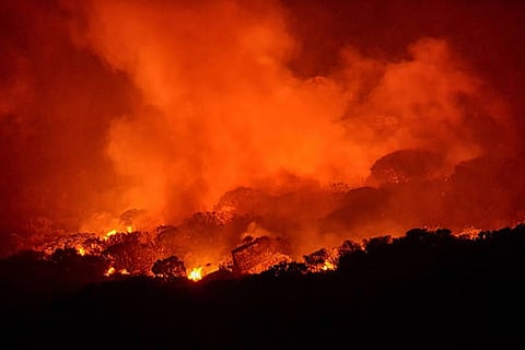 भारतीय वैज्ञानिकों ने गोदावरी घाटी के कोयला क्षेत्रों में 25 करोड़ साल पुरानी भीषण जंगल की आग के प्रमाण खोजे।