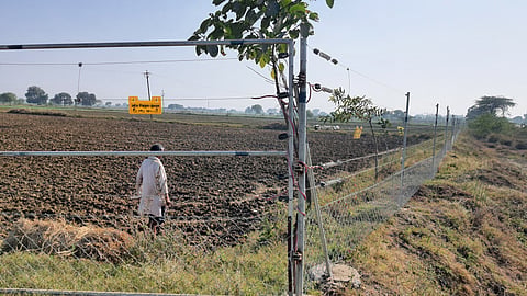 सोलर तारबंदी योजना का लाभ सीमित किसानों को ही मिला है। सभी फोटो : भागीरथ