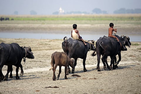प्रतीकात्मक तस्वीर: सेंटर फॉर साइंस एंड एनवायरमेंट