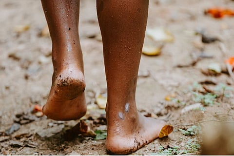 फोटो: डिएना गेरलाच/ विश्व स्वास्थ्य संगठन